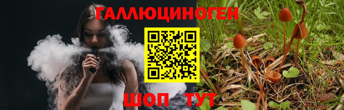 купить   Вход с VPN  Киселёвск  Галлюциногенные грибы Magic Shrooms 